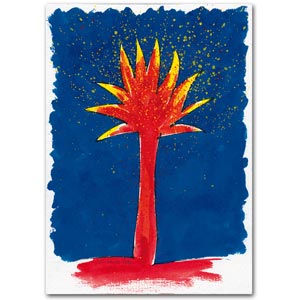 01-01-003-Flammenpalme-s